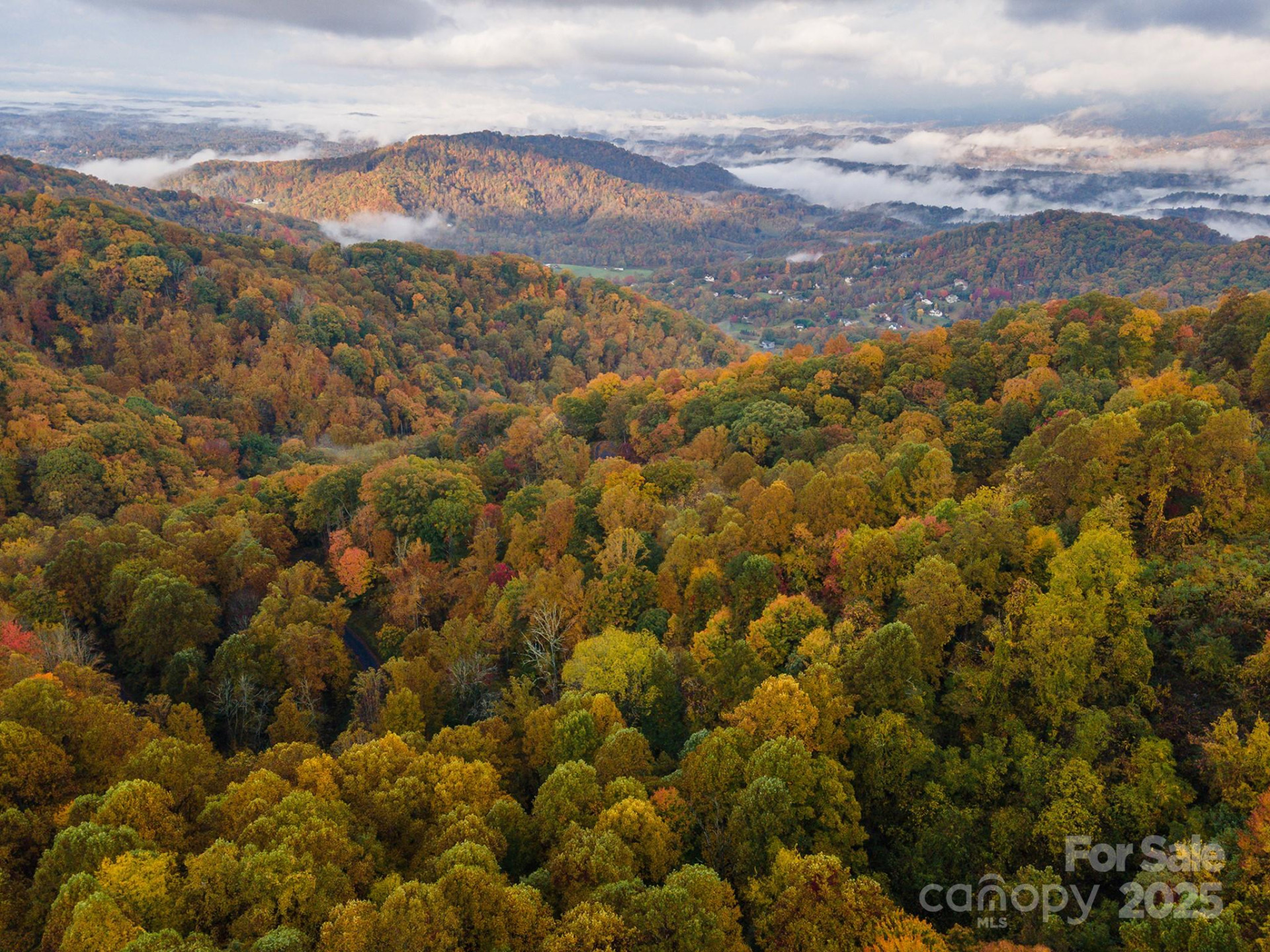 1559 Seven Glens Drive #165 - Photo 5