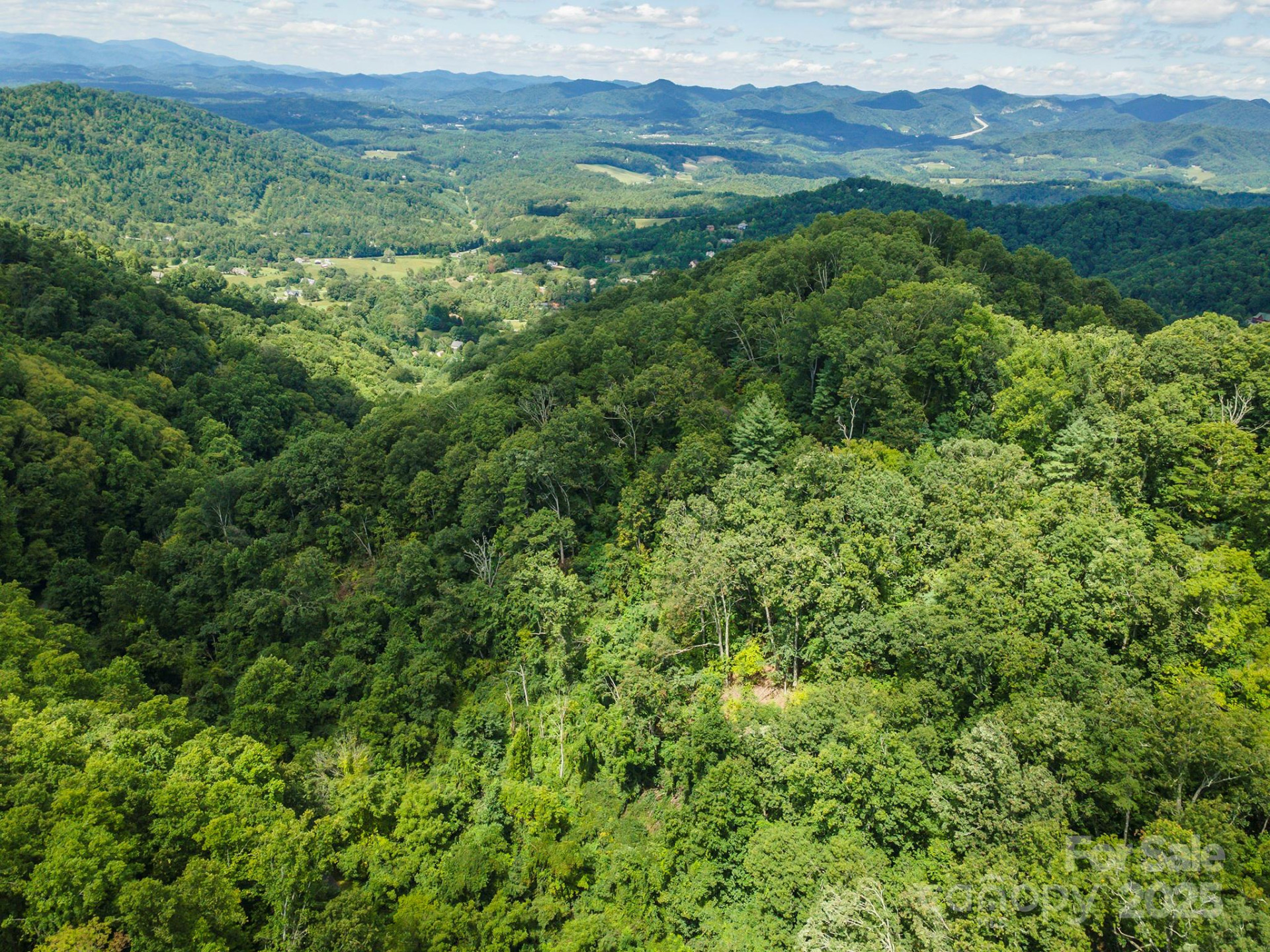 1559 Seven Glens Drive #165 - Photo 6