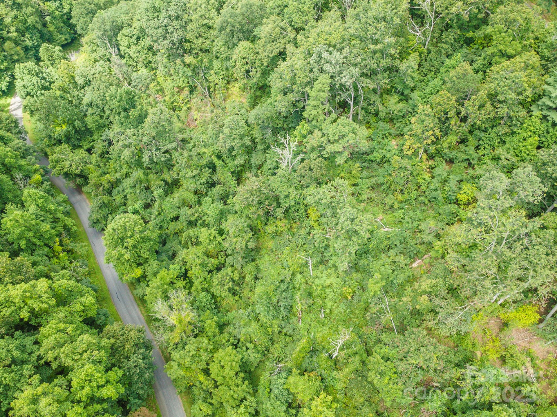 1559 Seven Glens Drive #165 - Photo 8