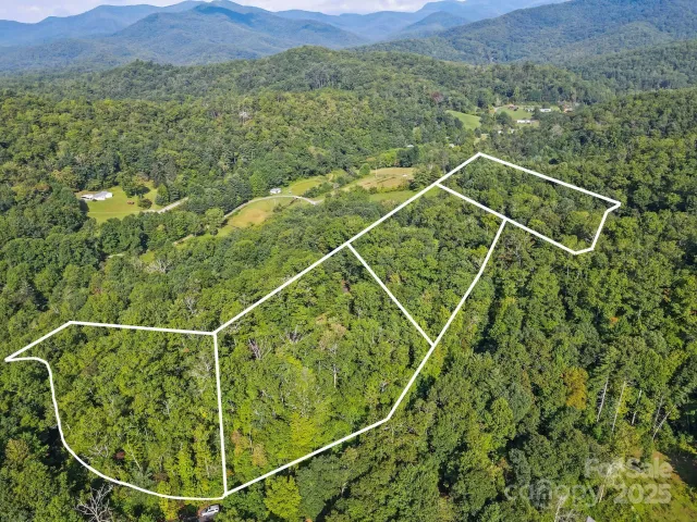 TBD Barts Branch Drive, Balsam Grove, NC, 28708