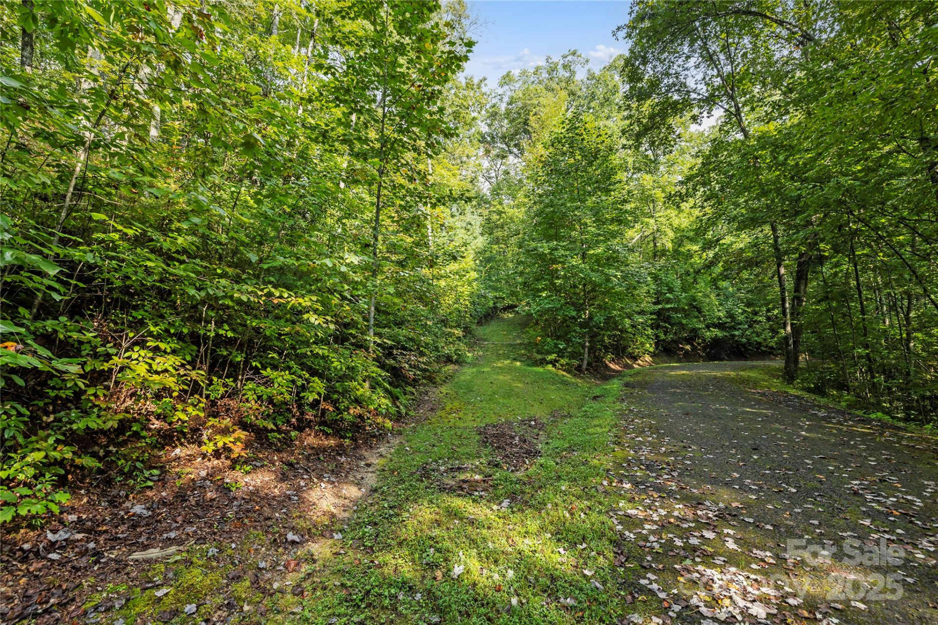 TBD Barts Branch Drive #13-16 - Photo 4