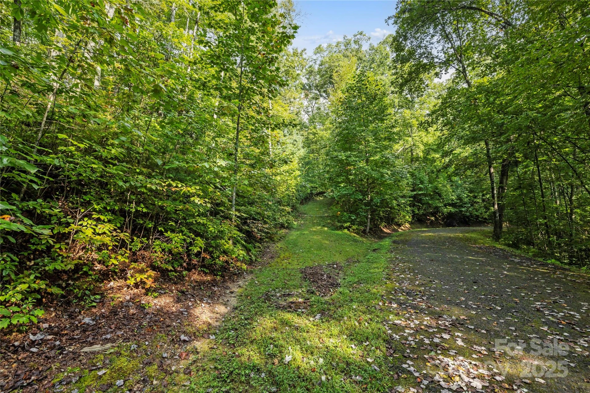 TBD Barts Branch Drive #13-16 - Photo 4