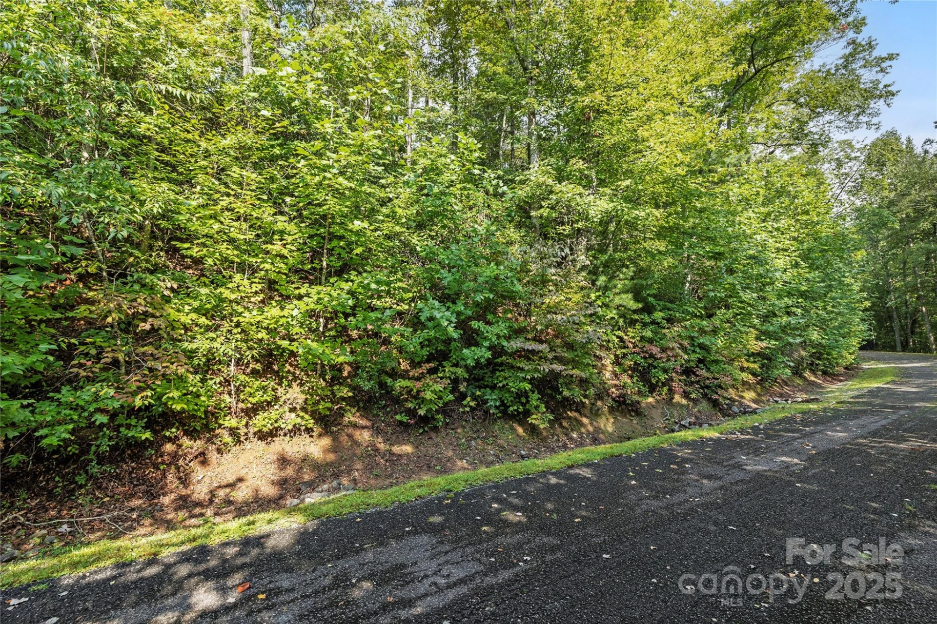 TBD Barts Branch Drive #13-16 - Photo 6