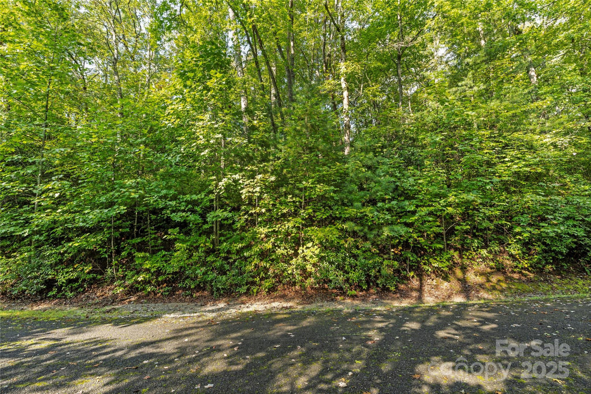 TBD Barts Branch Drive #13-16 - Photo 9