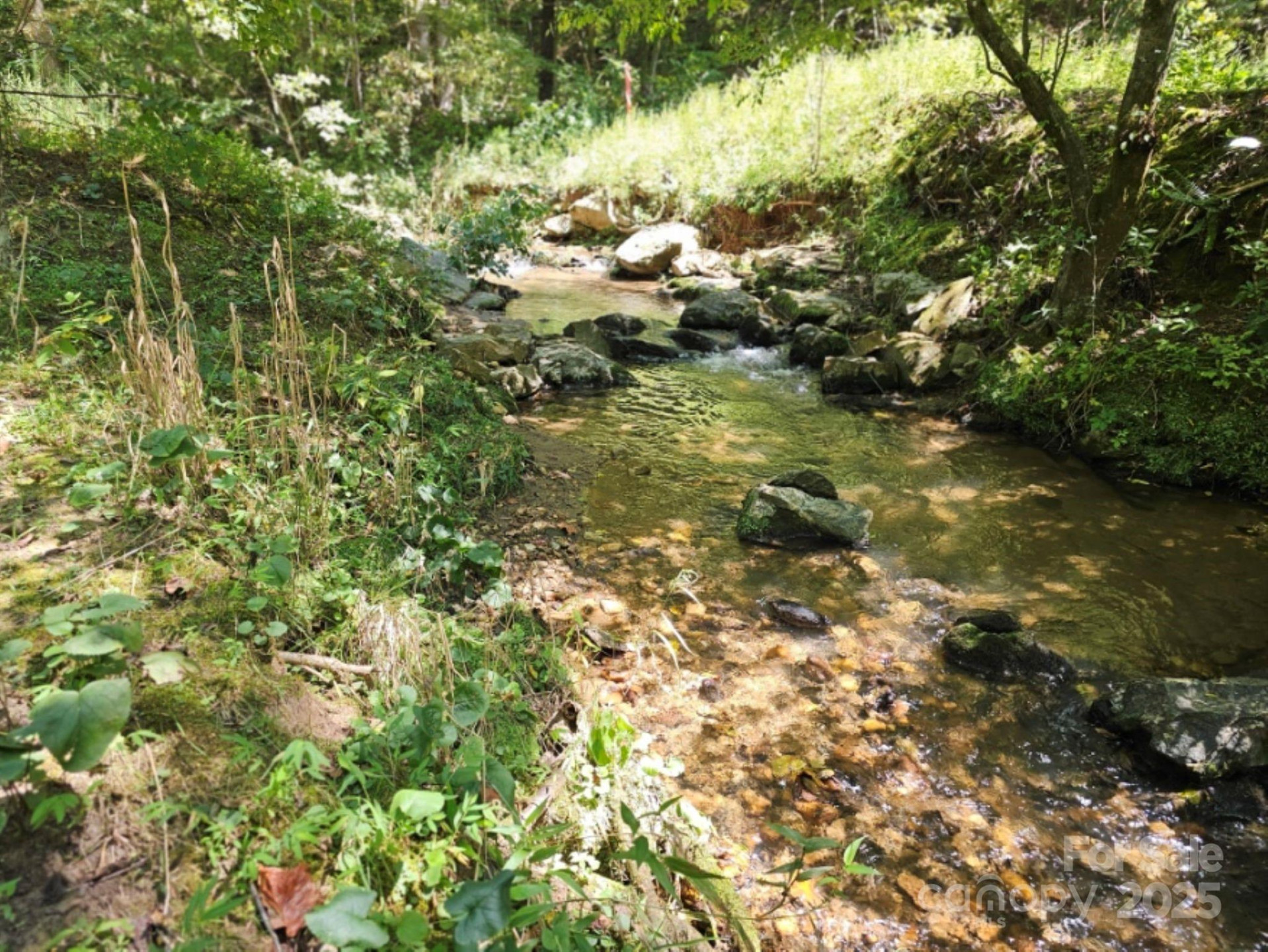 2459 Camp Creek Road - Photo 27