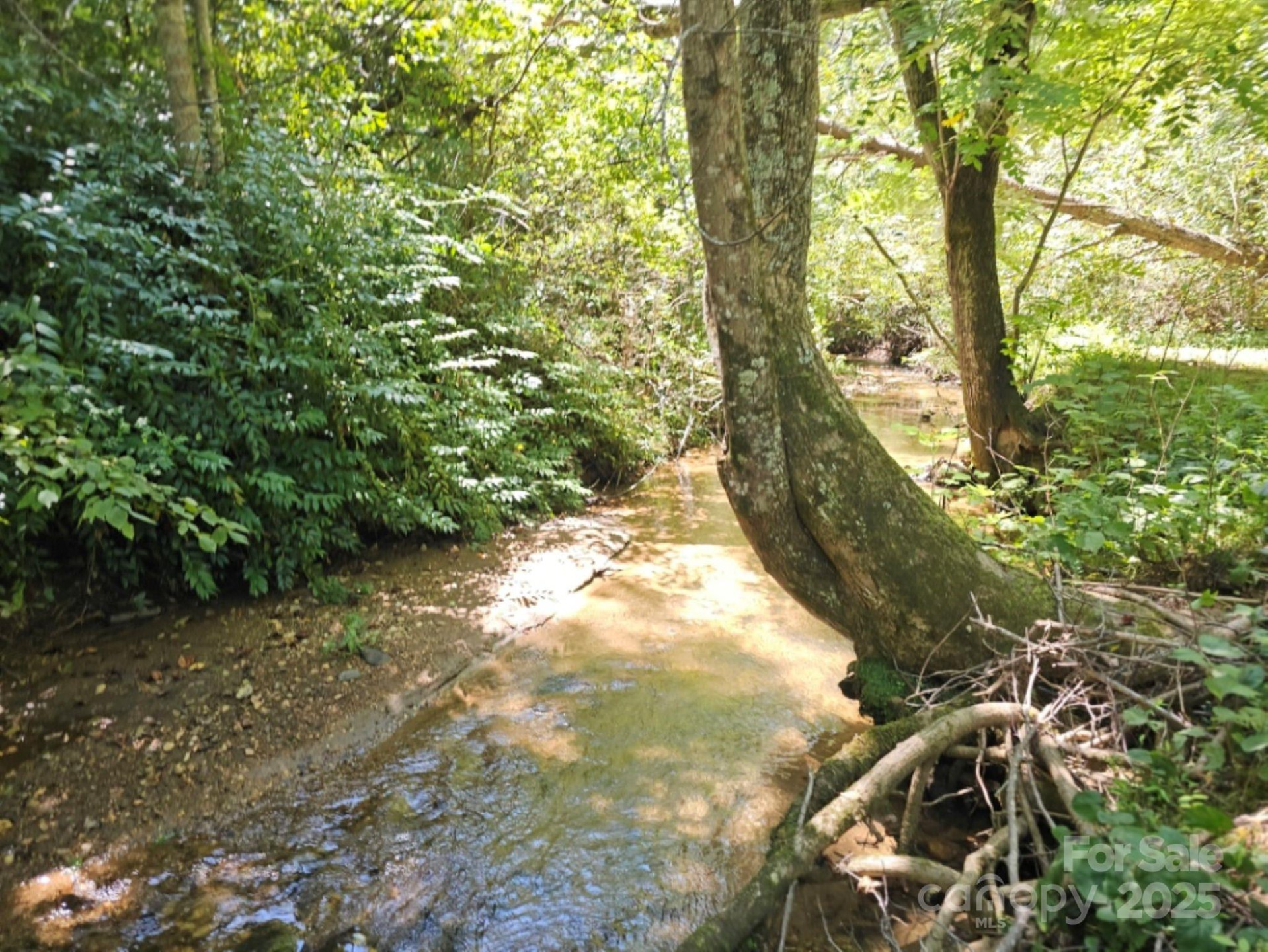 2459 Camp Creek Road - Photo 28
