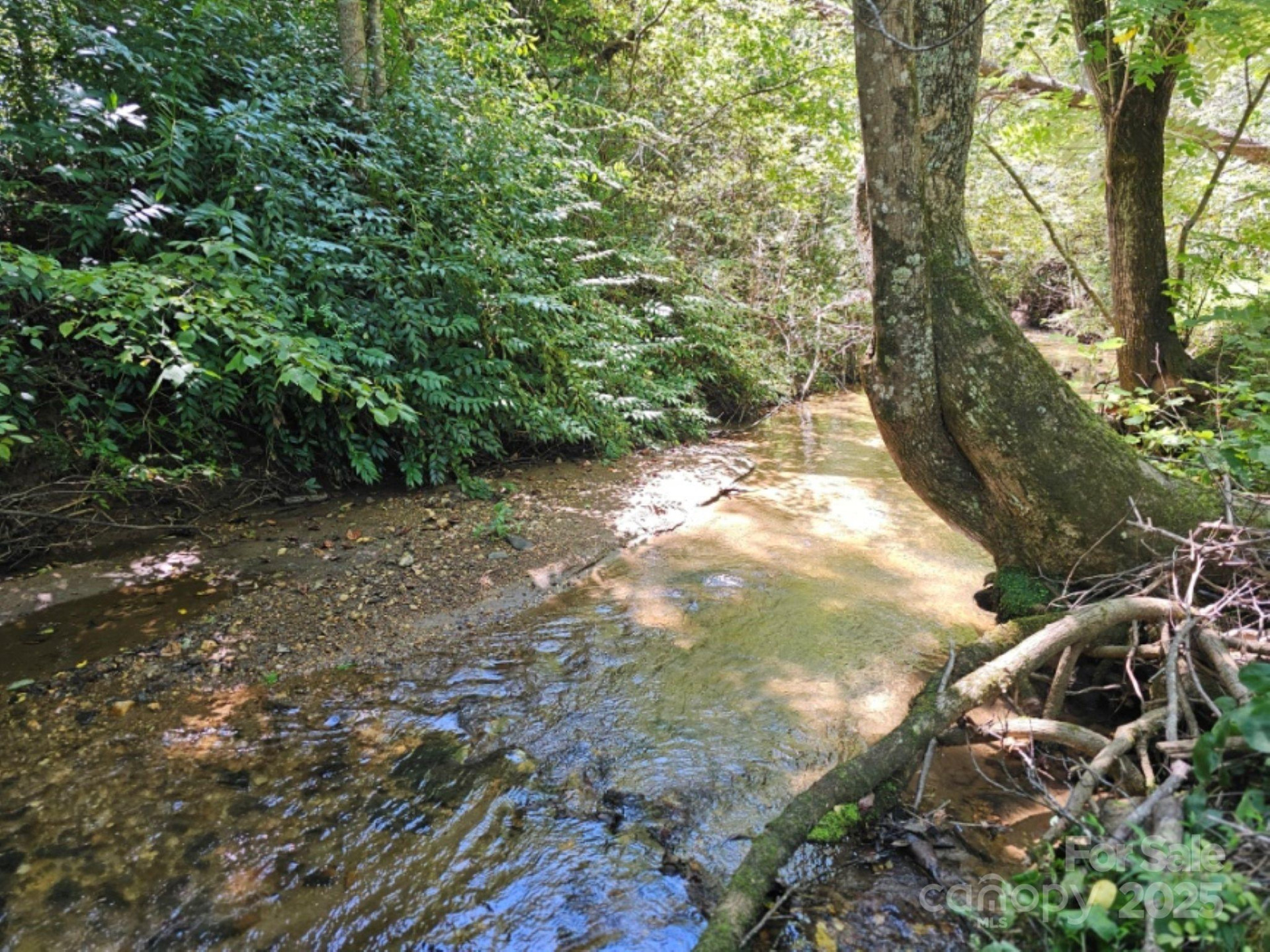 2459 Camp Creek Road - Photo 29