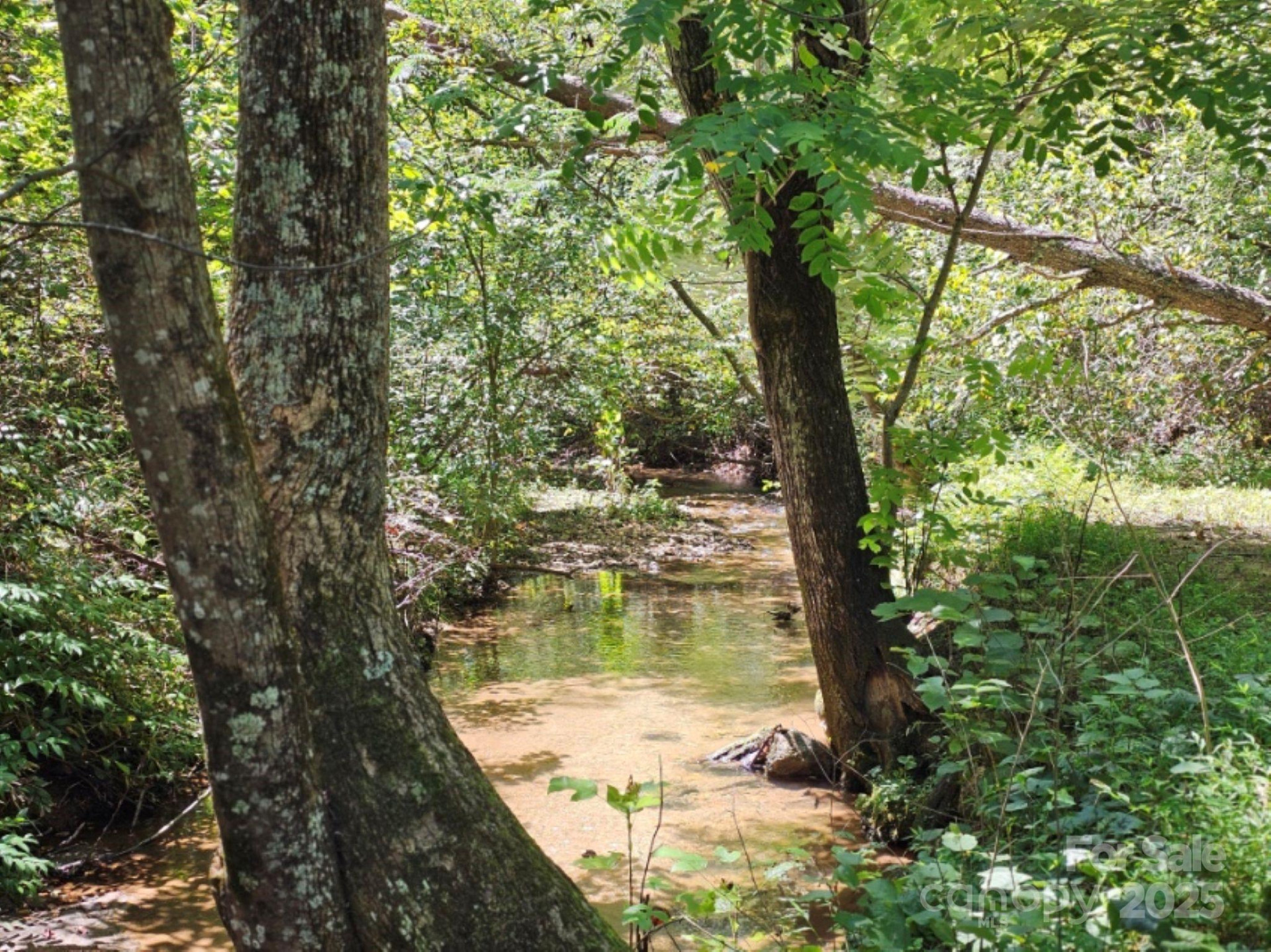 2459 Camp Creek Road - Photo 30
