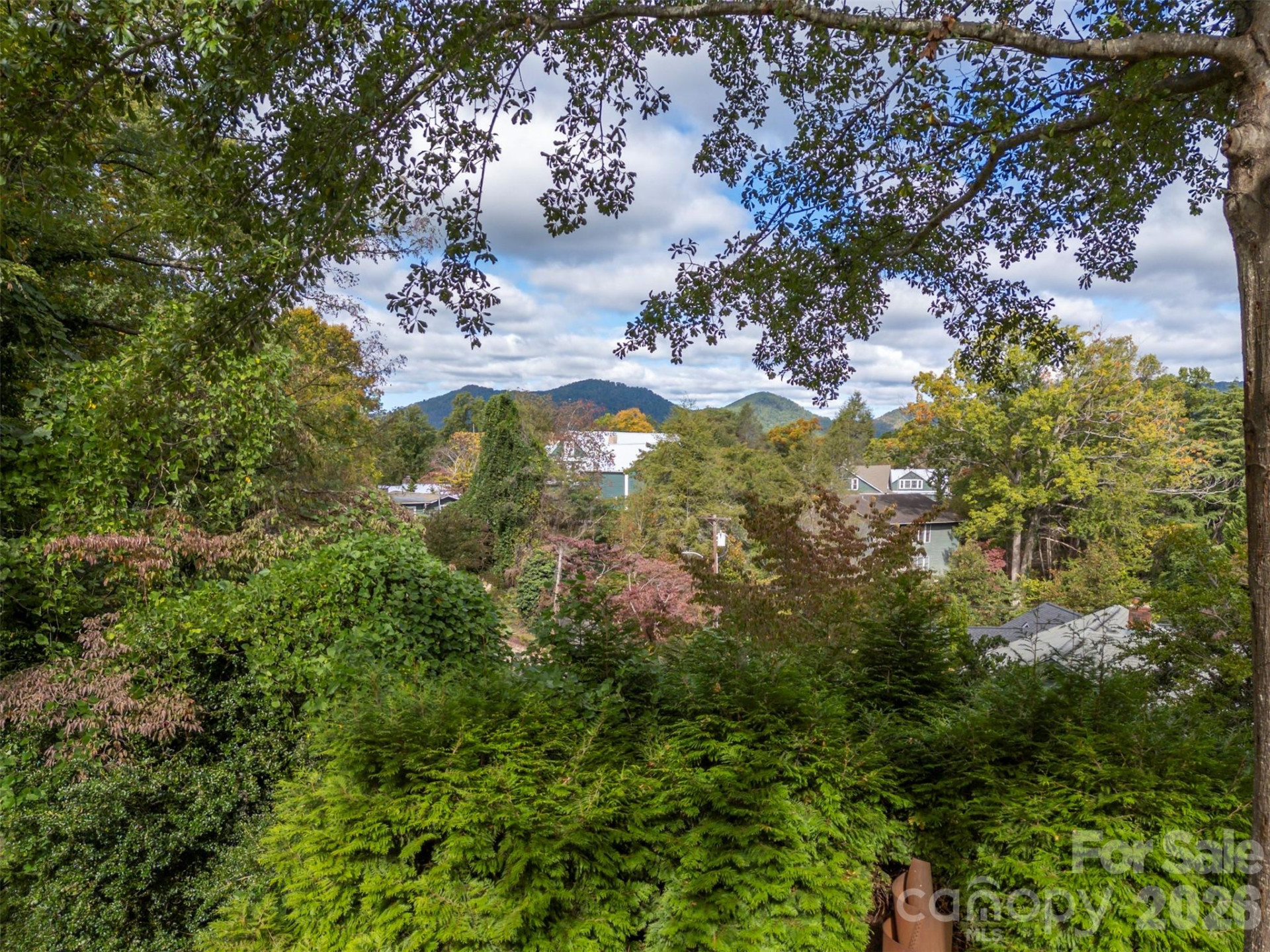 55 First Street - Photo 81