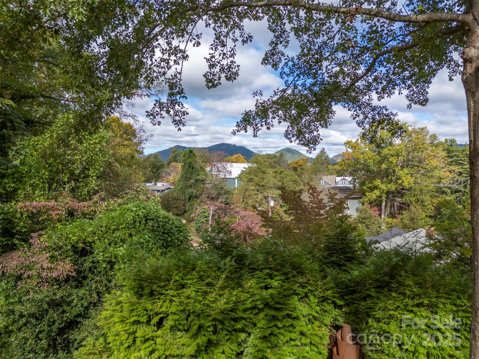 55 First Street - Photo 86