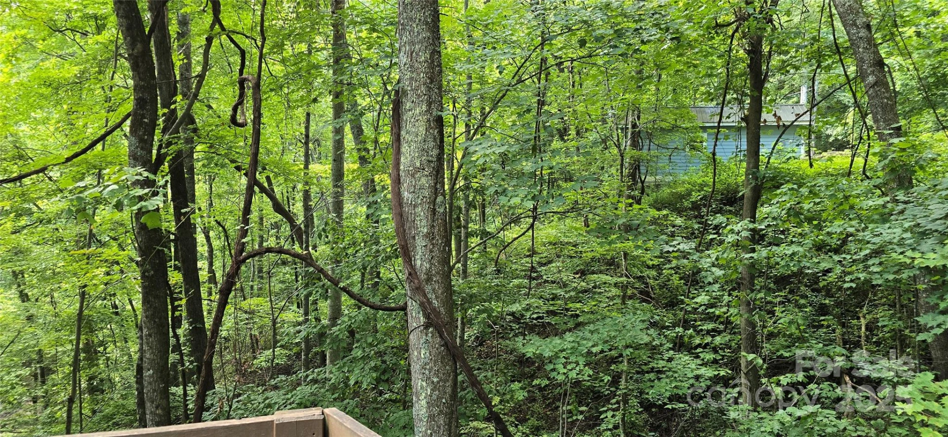 607 Rocky Top Trail - Photo 42