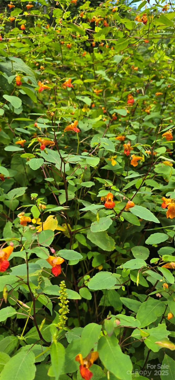 607 Rocky Top Trail - Photo 45