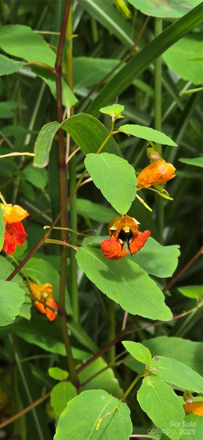 607 Rocky Top Trail - Photo 46