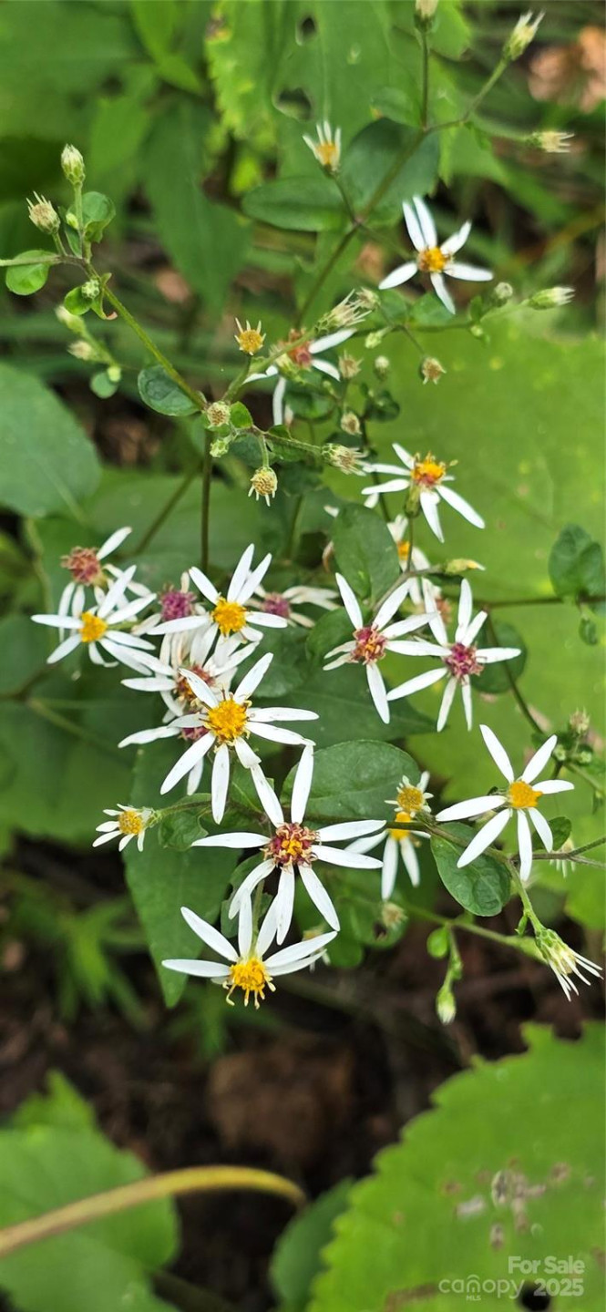 607 Rocky Top Trail - Photo 47