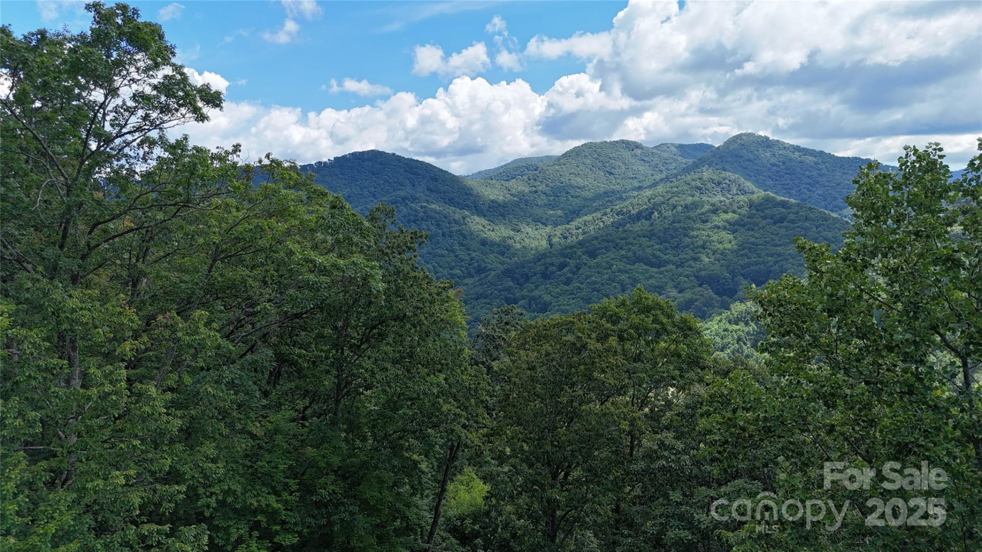607 Rocky Top Trail - Photo 6