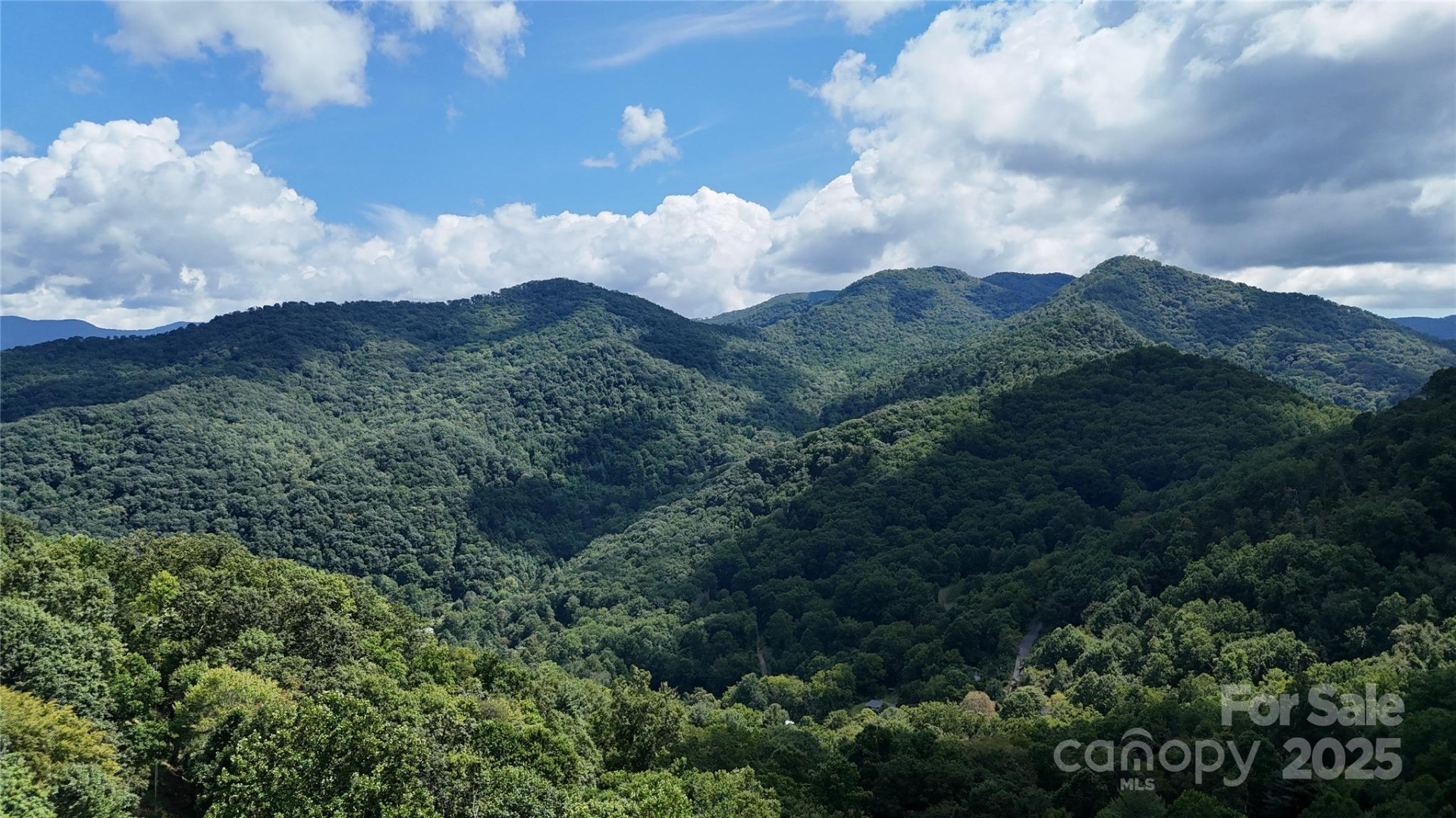 607 Rocky Top Trail - Photo 8