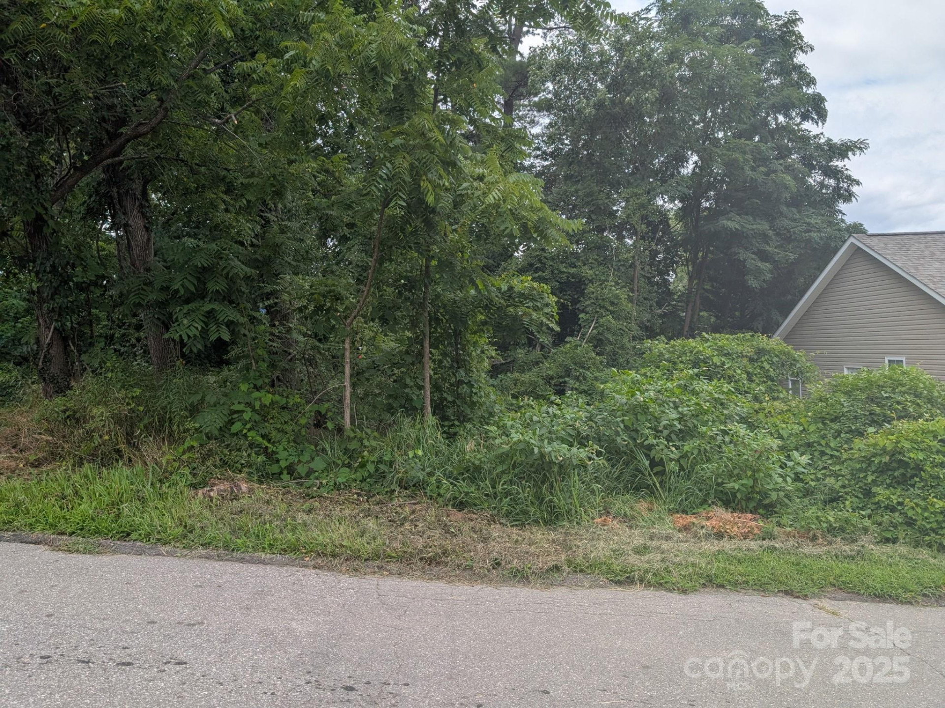 0000 Booker Street - Photo 2