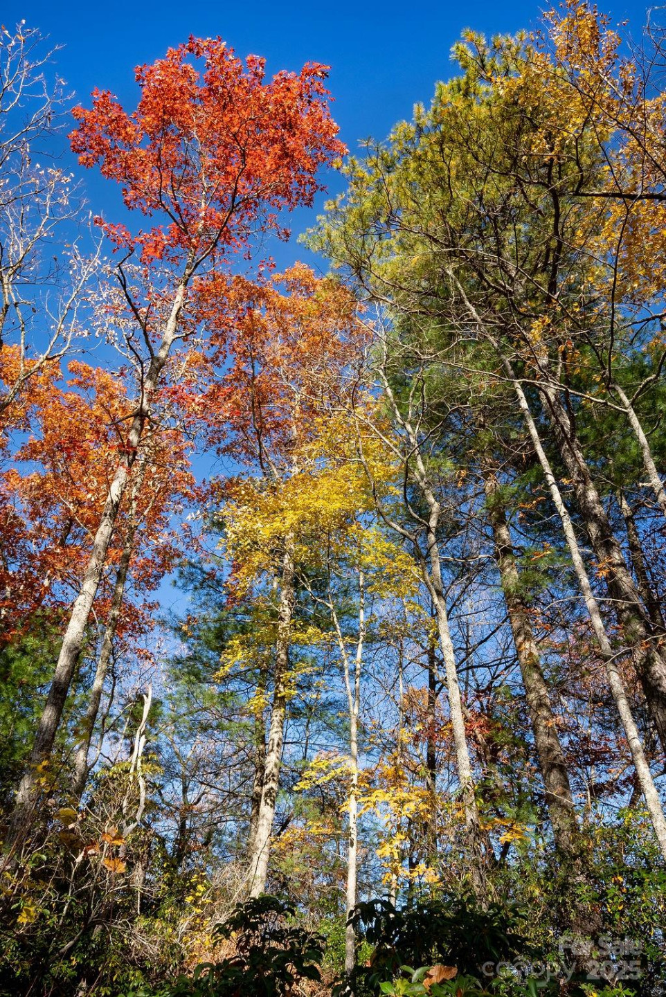 TBD Morgan Drive #Tract II - Photo 13
