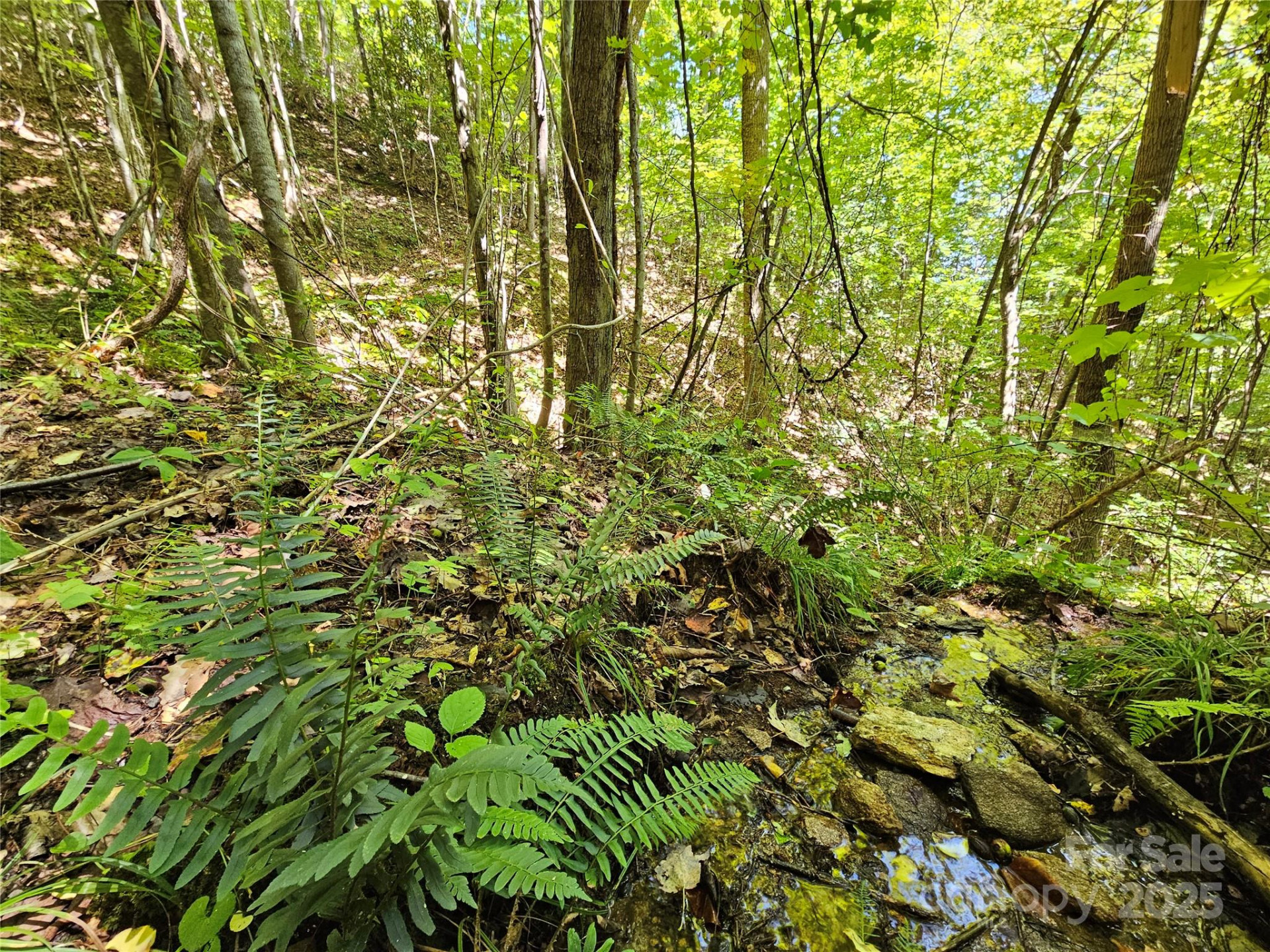 112 Steinwald Trail - Photo 11