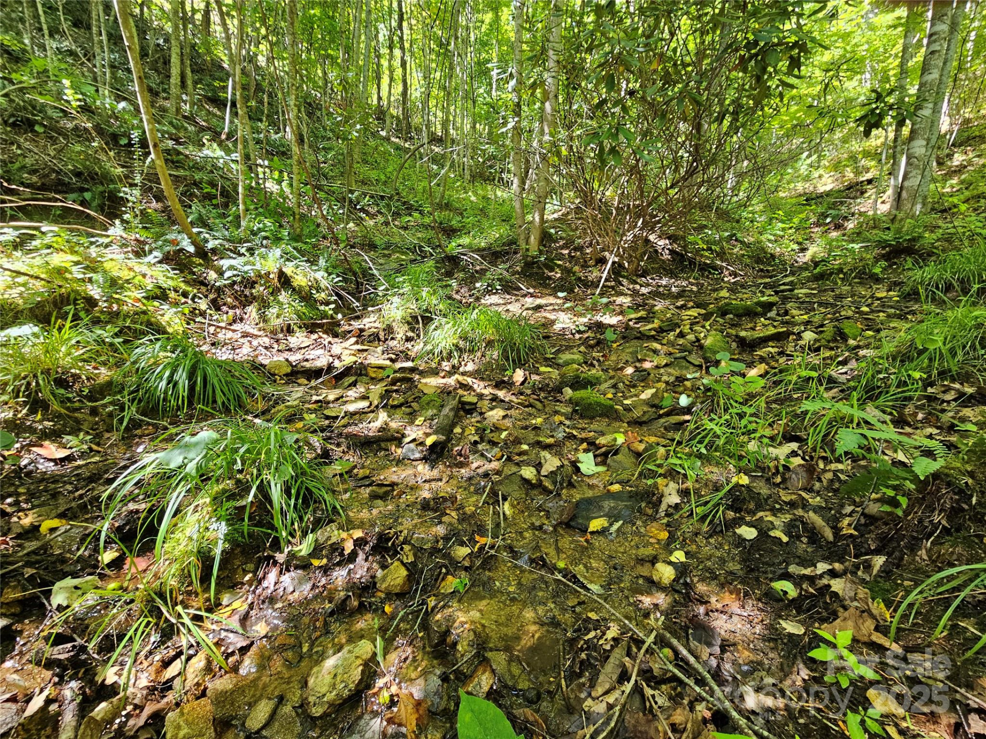 112 Steinwald Trail - Photo 13