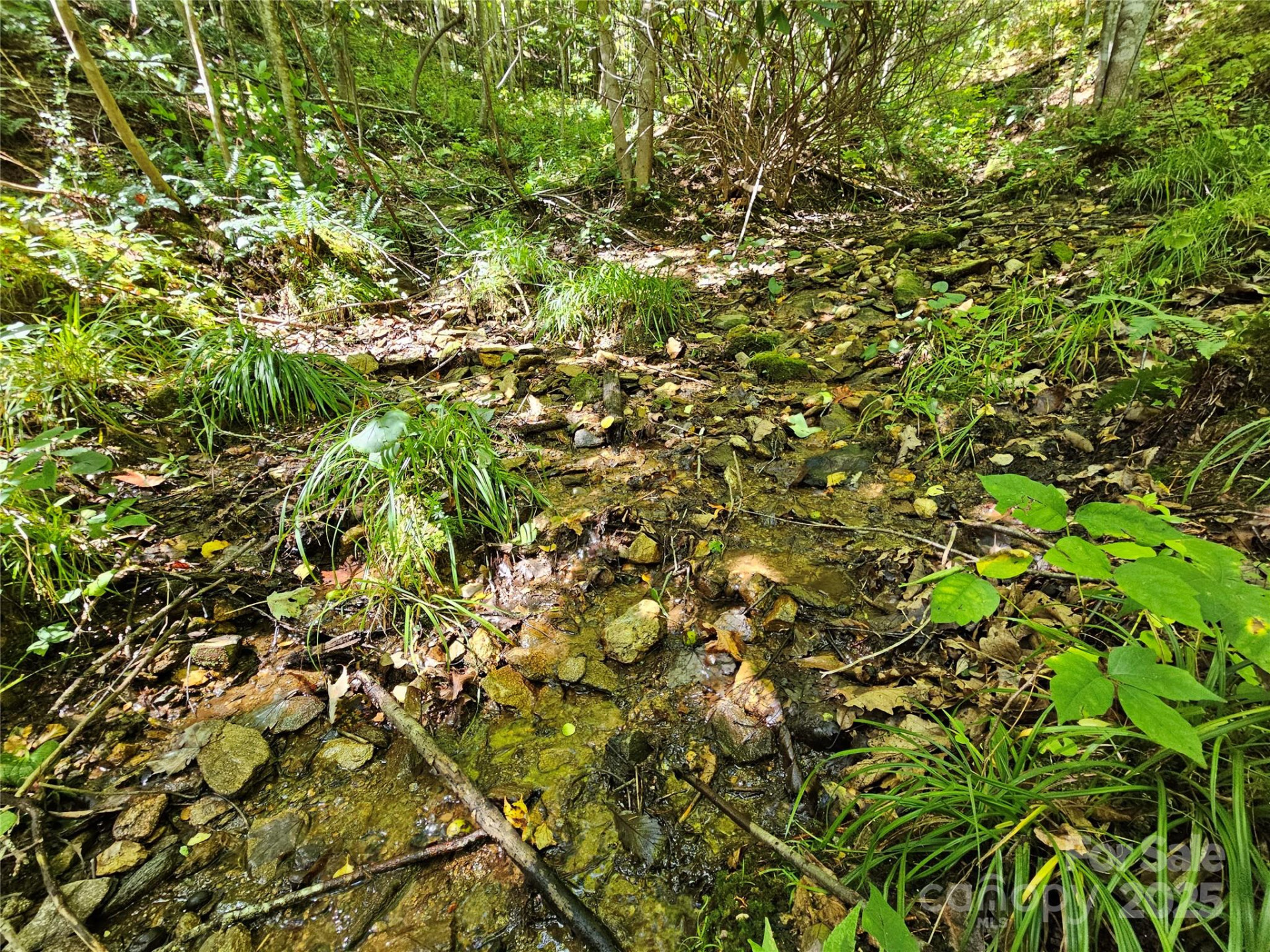 112 Steinwald Trail - Photo 14