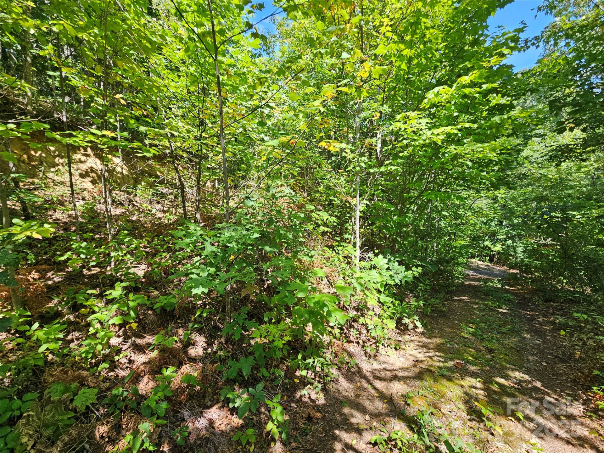 112 Steinwald Trail - Photo 15