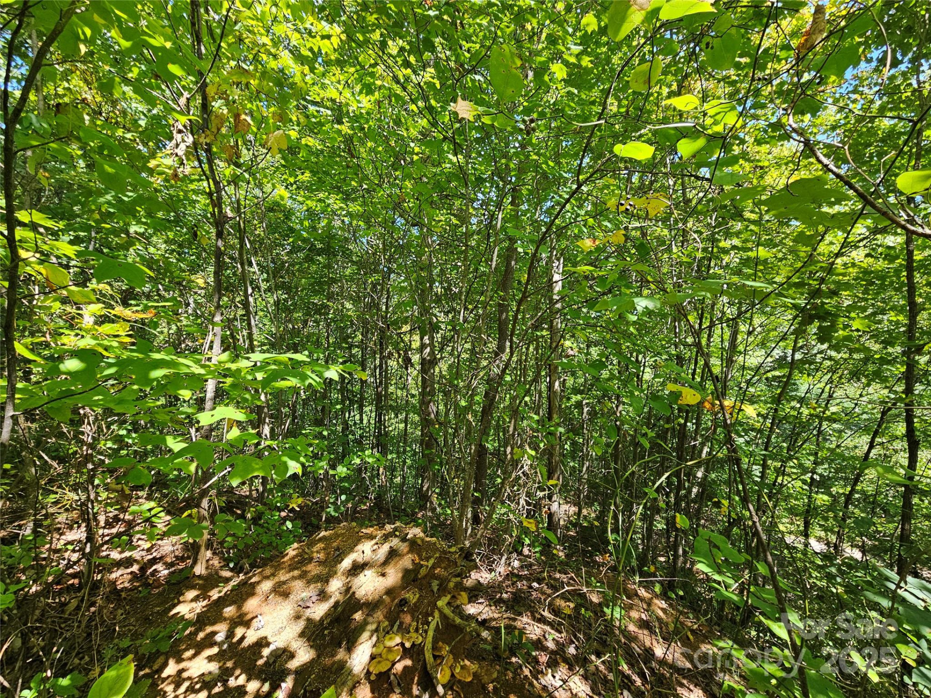 112 Steinwald Trail - Photo 16