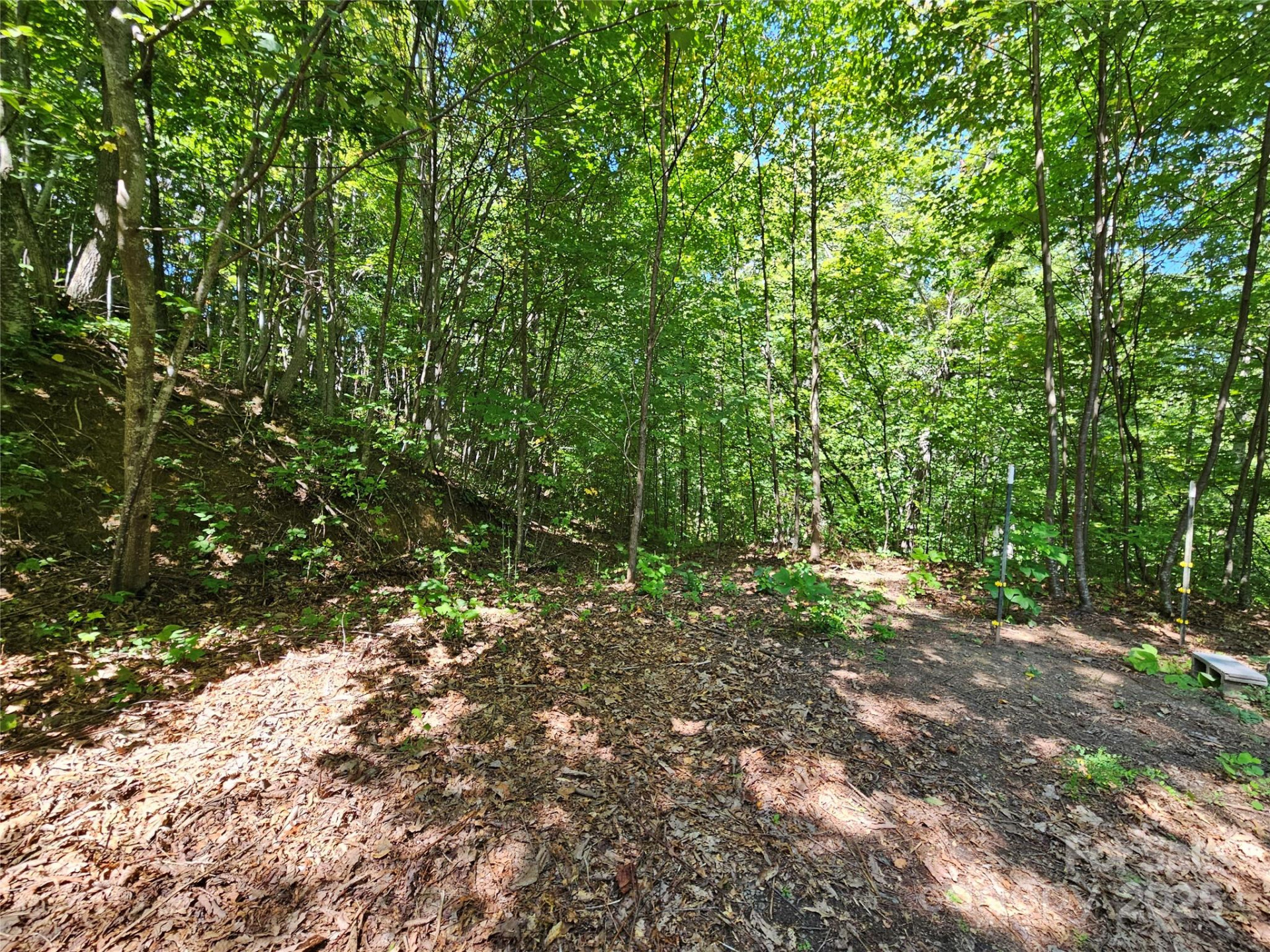 112 Steinwald Trail - Photo 17