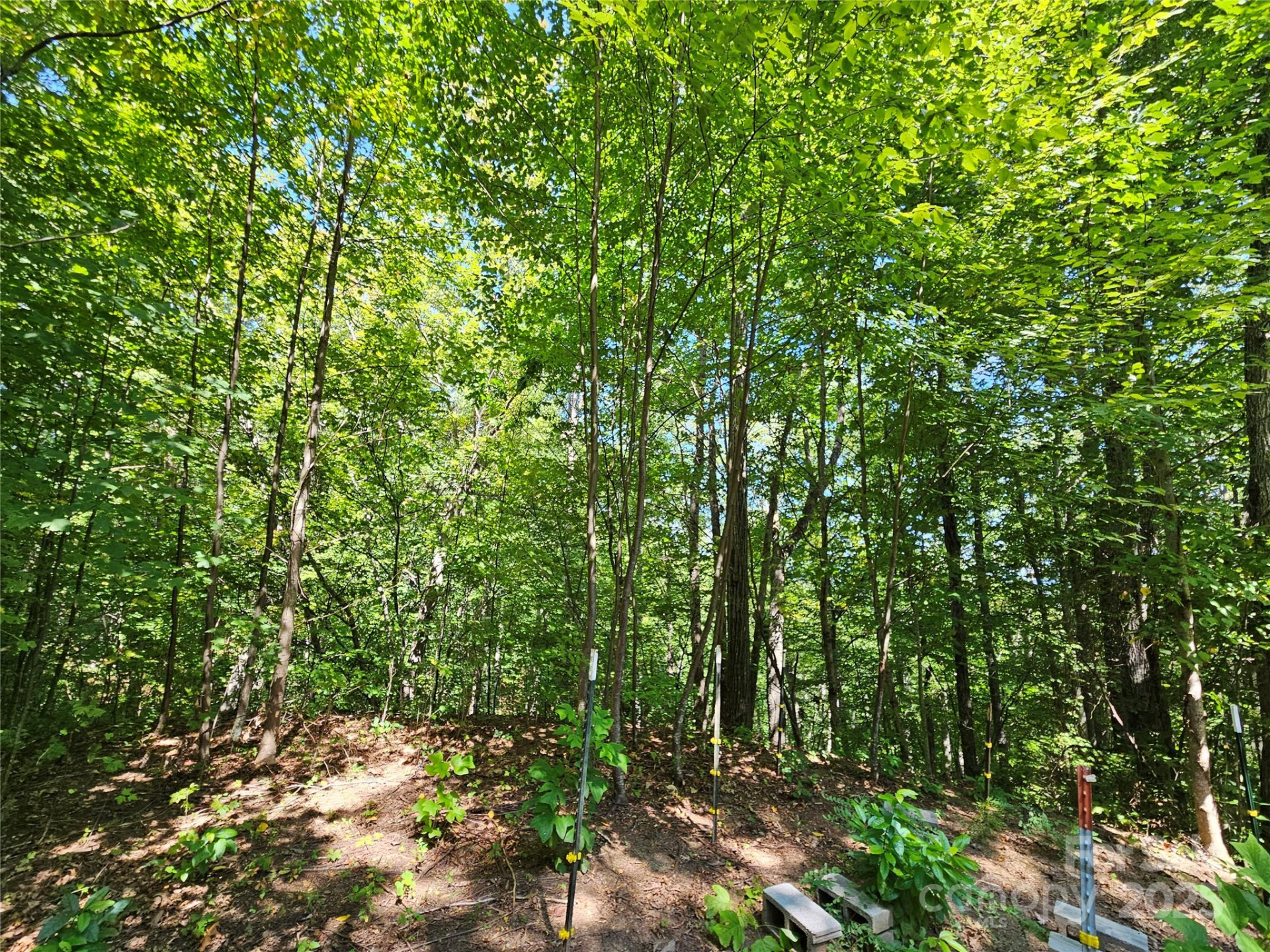 112 Steinwald Trail - Photo 18