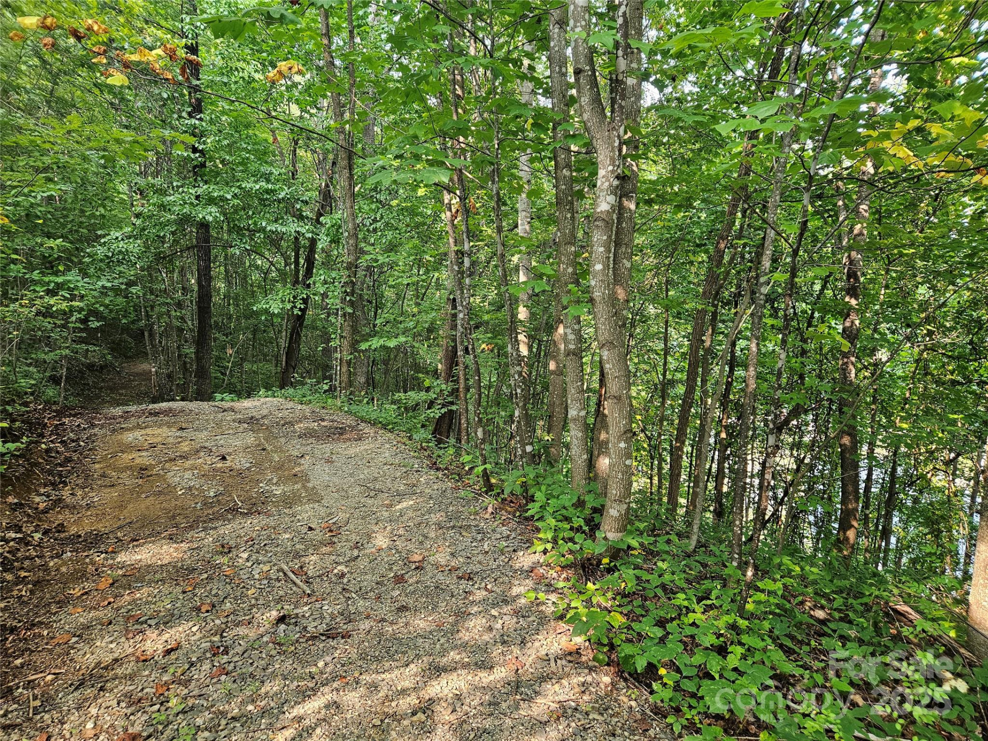 112 Steinwald Trail - Photo 3