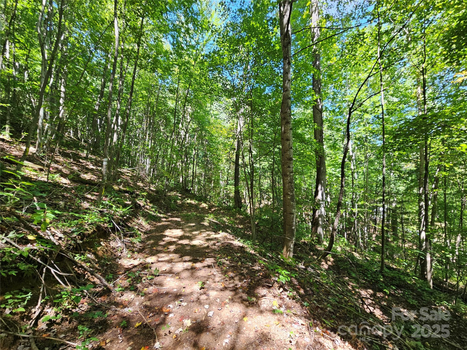 112 Steinwald Trail - Photo 5