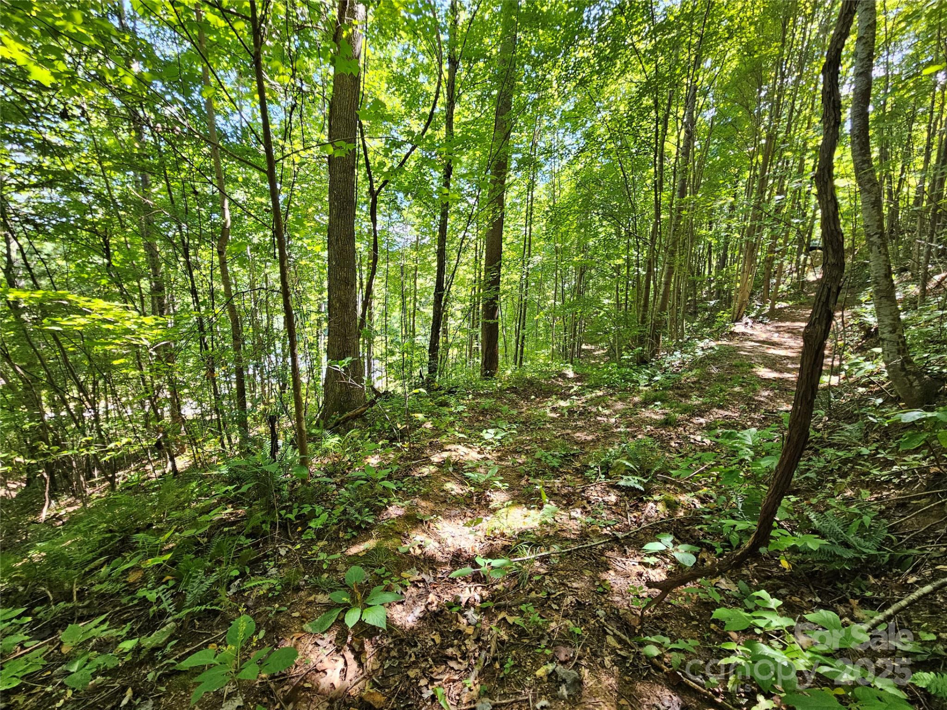 112 Steinwald Trail - Photo 6