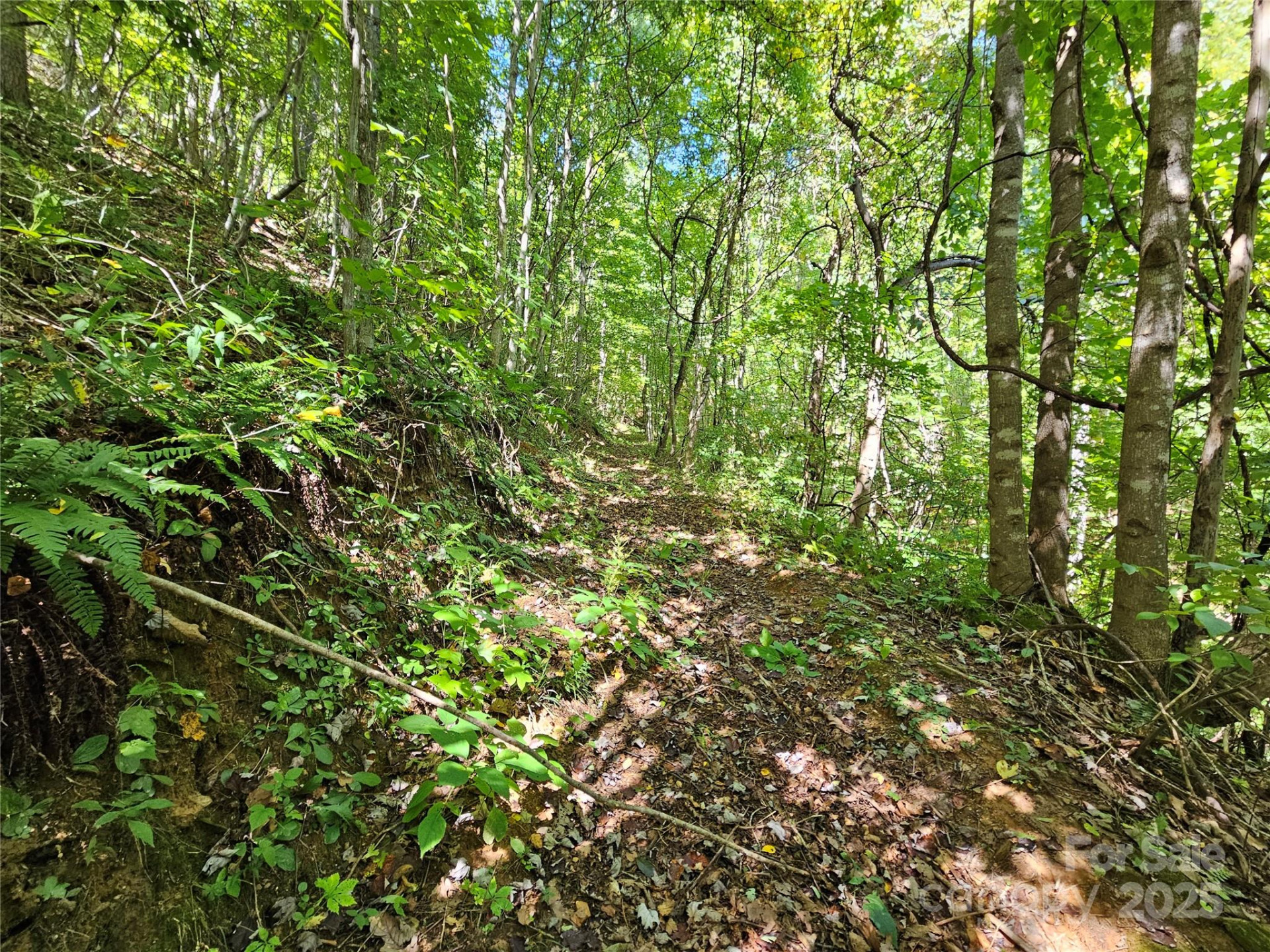 112 Steinwald Trail - Photo 7