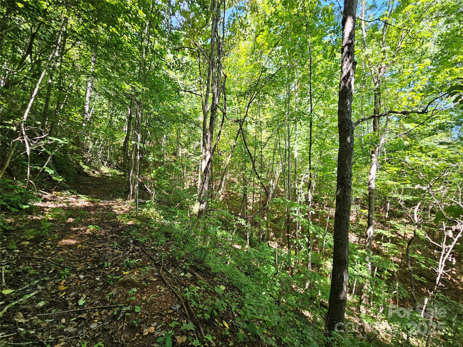 112 Steinwald Trail - Photo 8