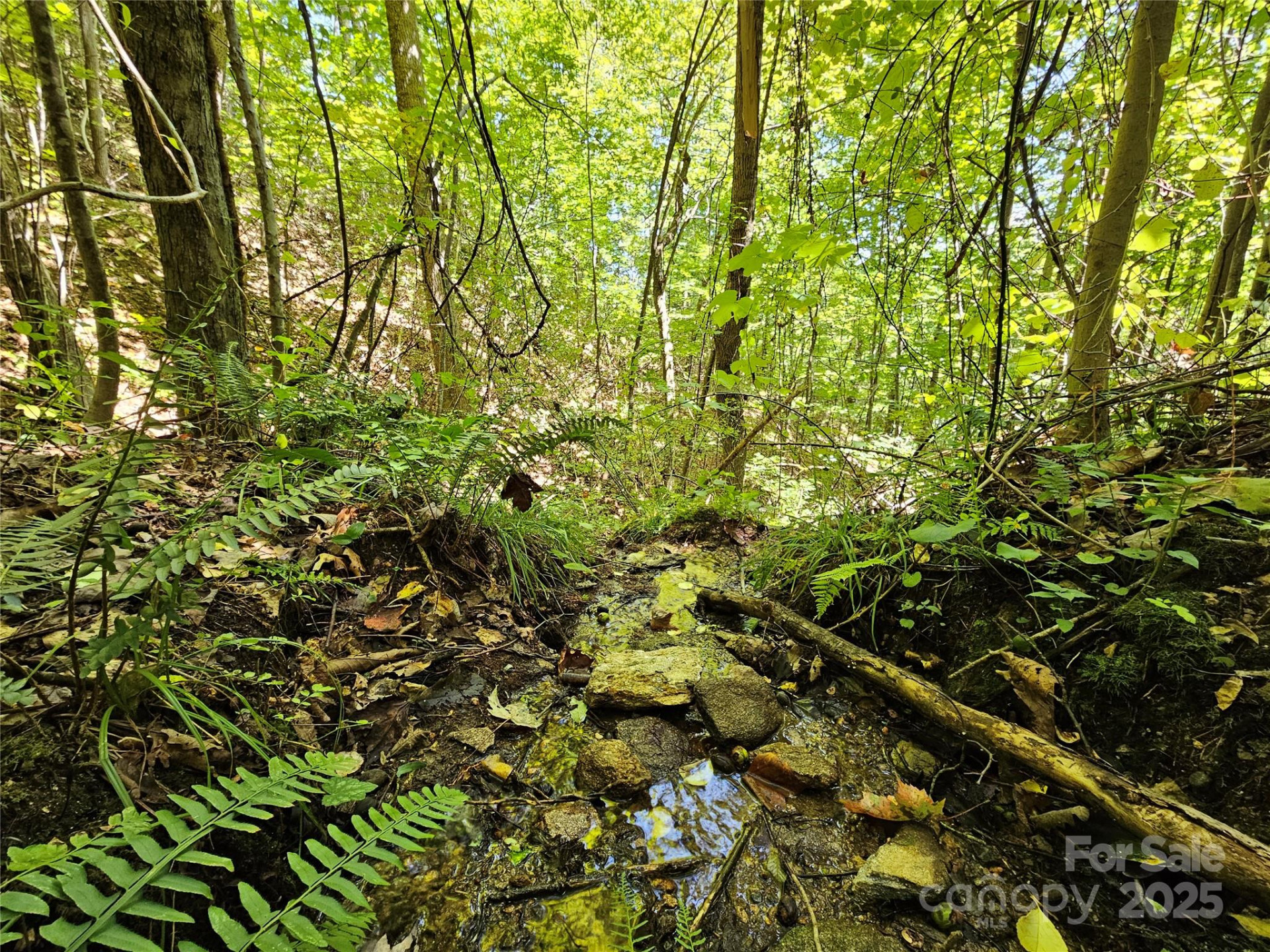 112 Steinwald Trail - Photo 10