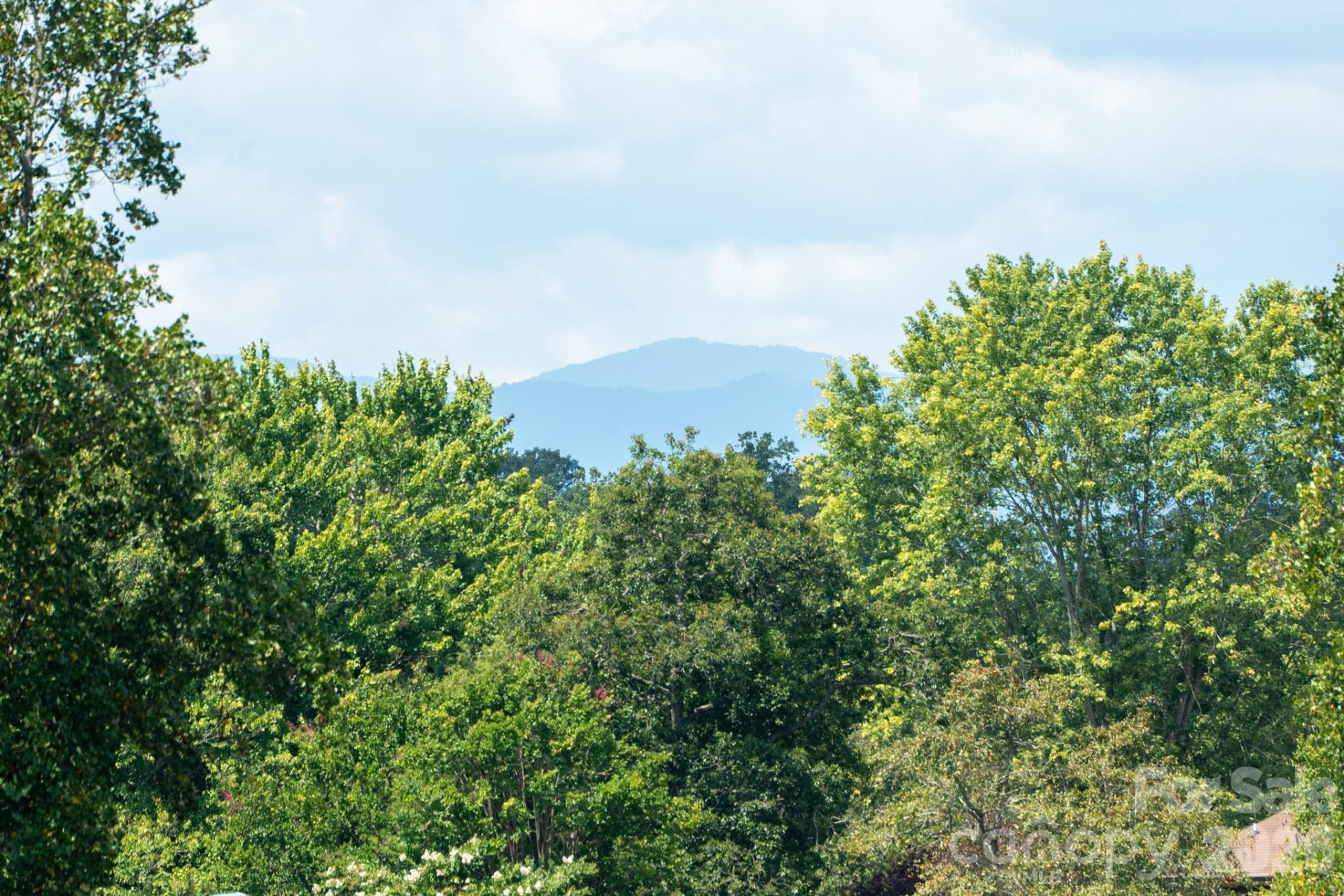 224 Oak Meadow Lane - Photo 26