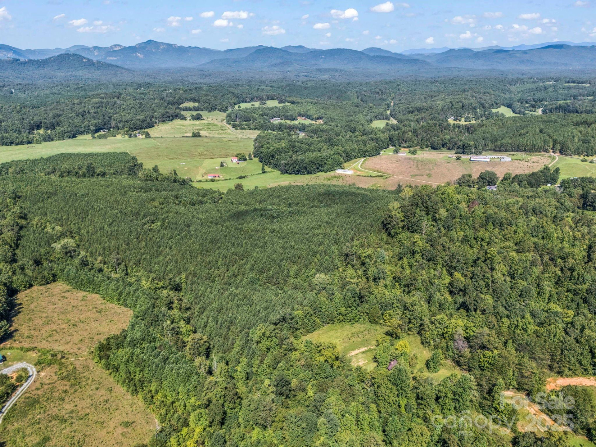 83.67 Acres Pleasant Grove Road - Photo 11