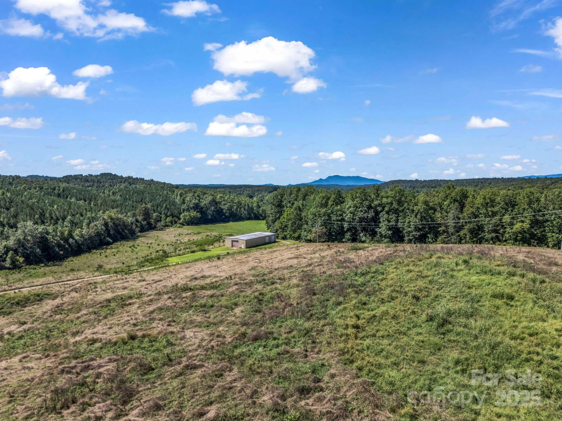 83.67 Acres Pleasant Grove Road - Photo 14