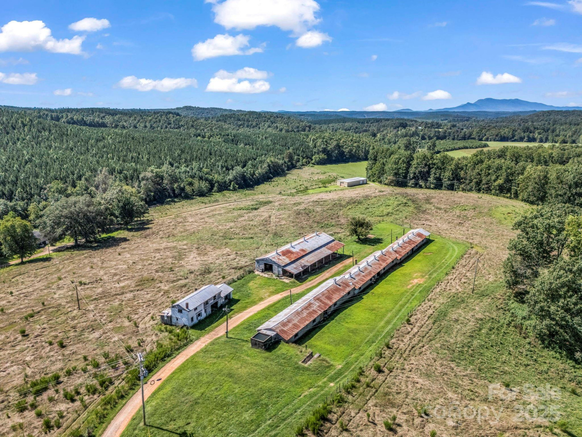 83.67 Acres Pleasant Grove Road - Photo 15