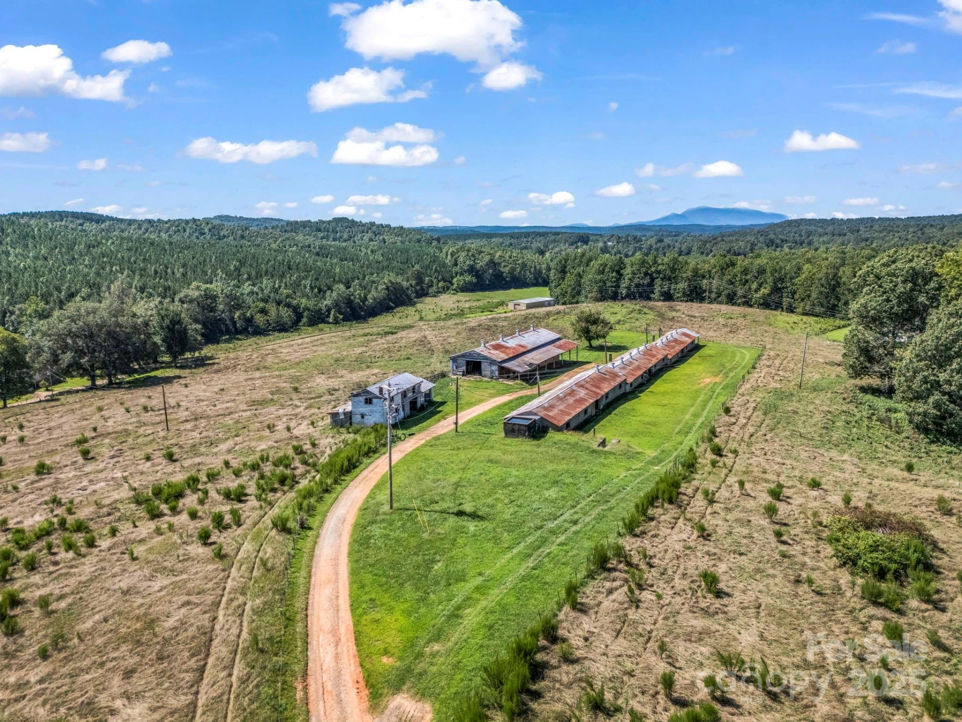 83.67 Acres Pleasant Grove Road - Photo 18