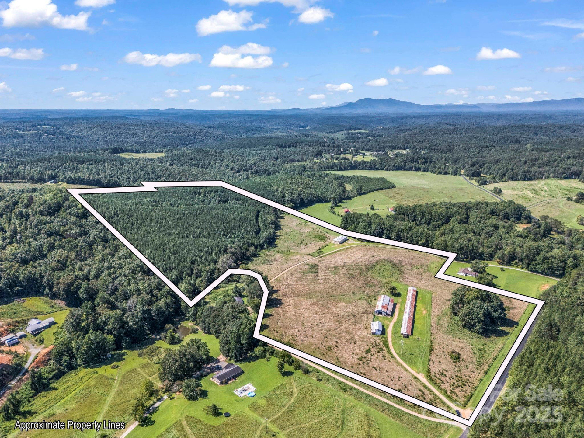 83.67 Acres Pleasant Grove Road - Photo 19