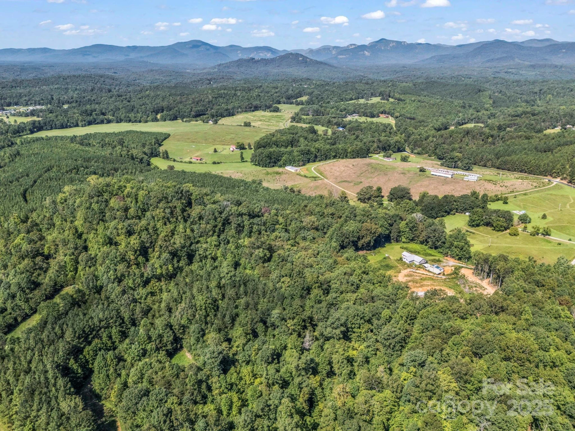 83.67 Acres Pleasant Grove Road - Photo 3