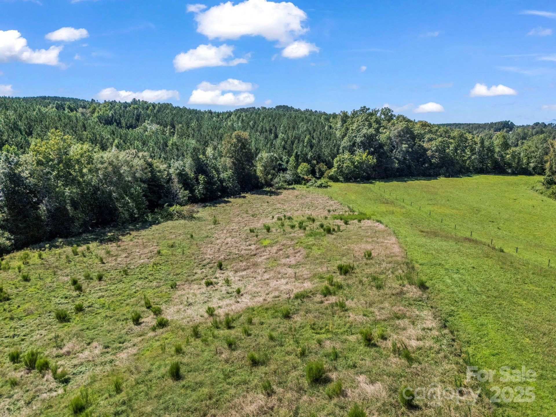 83.67 Acres Pleasant Grove Road - Photo 22