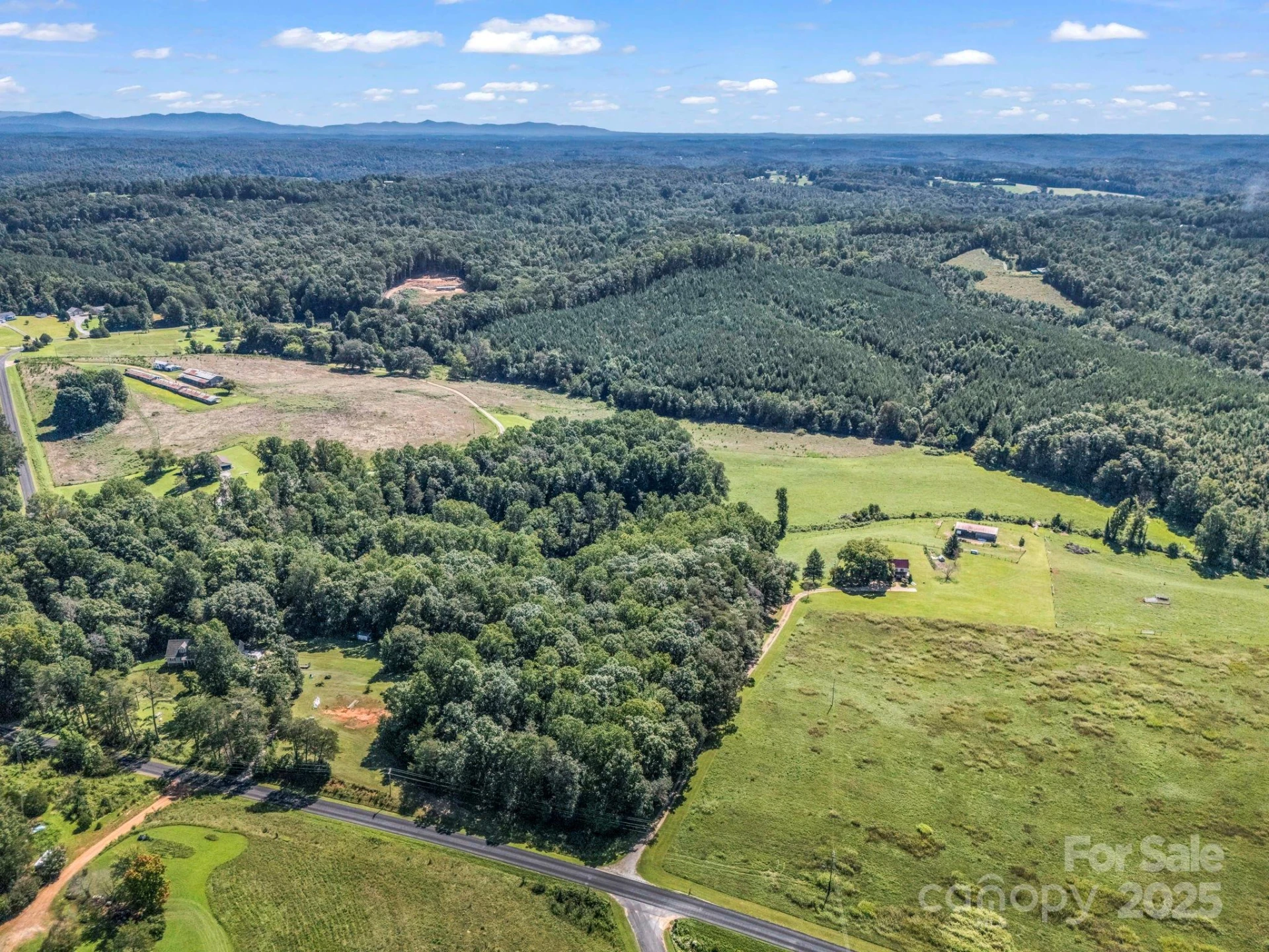 83.67 Acres Pleasant Grove Road - Photo 24