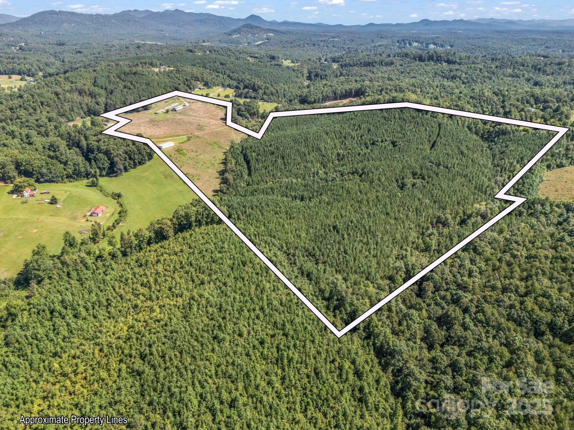 83.67 Acres Pleasant Grove Road - Photo 25