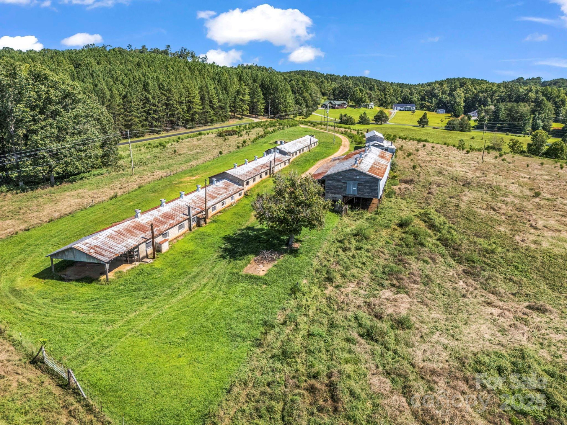 83.67 Acres Pleasant Grove Road - Photo 28