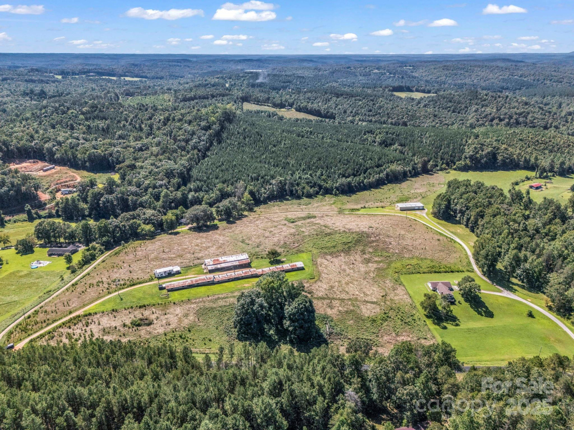 83.67 Acres Pleasant Grove Road - Photo 4