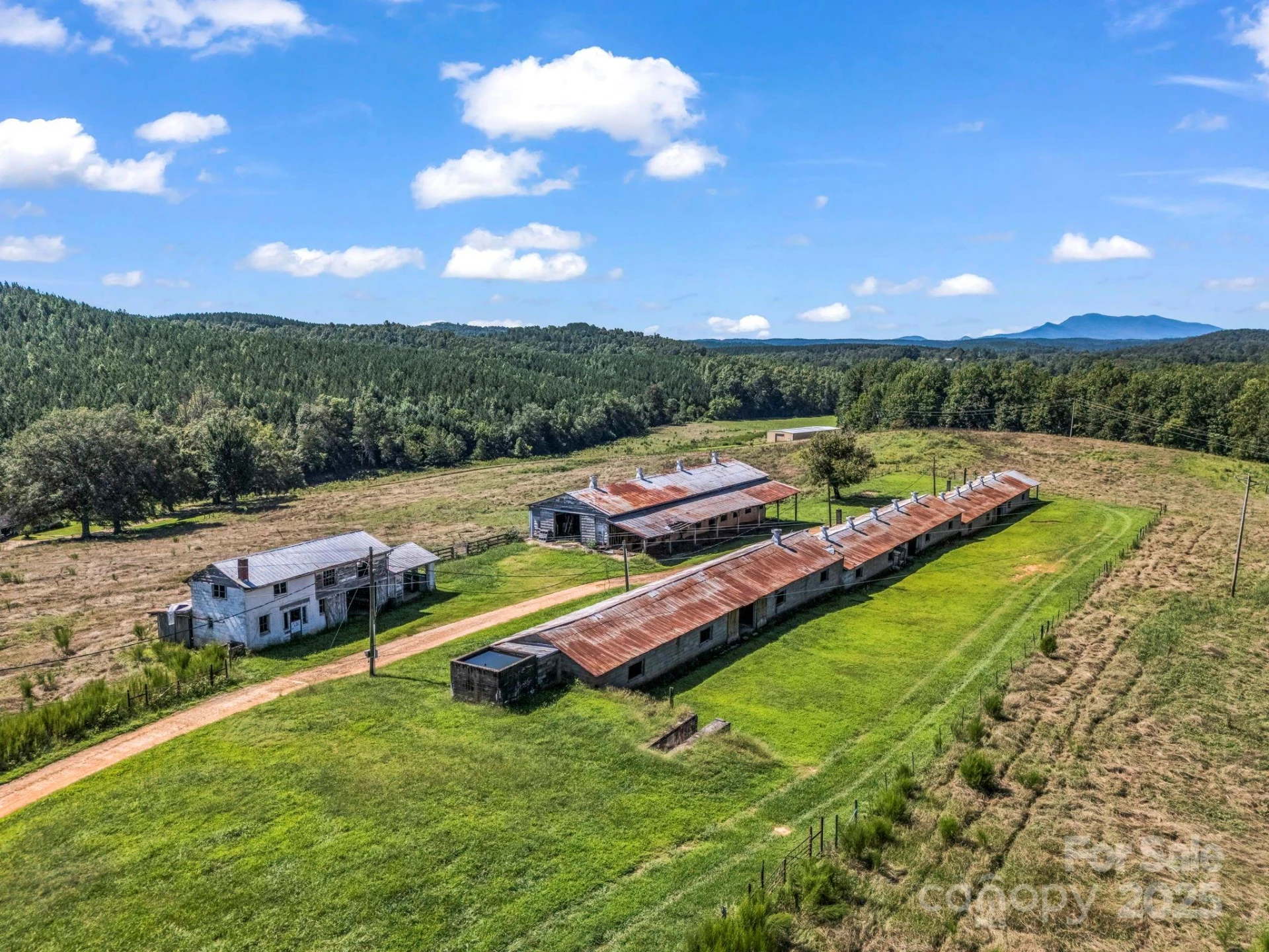 83.67 Acres Pleasant Grove Road - Photo 31
