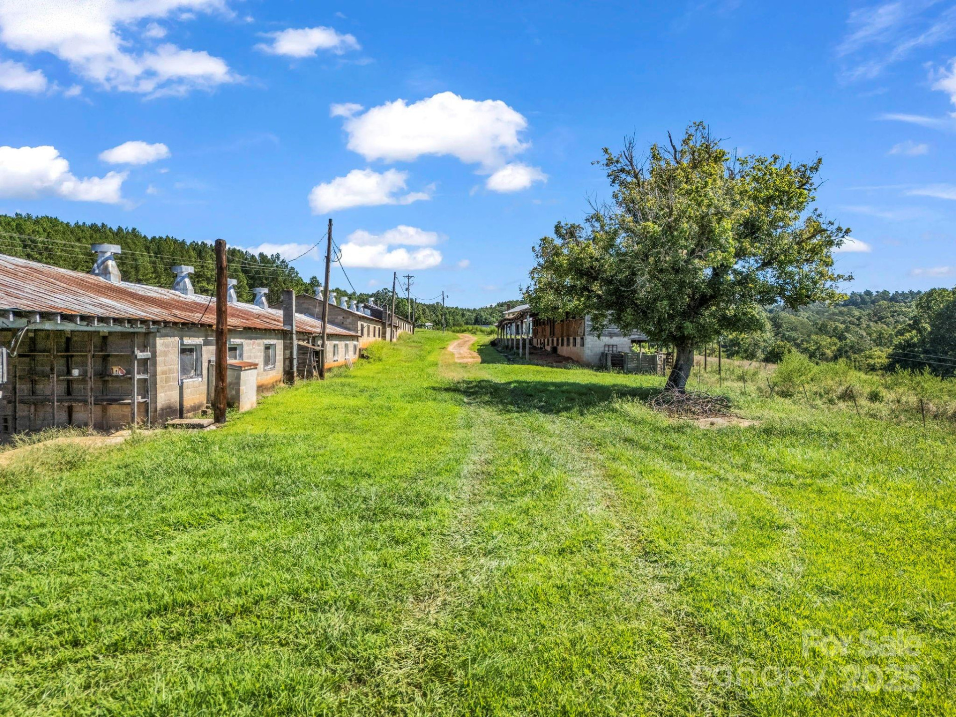 83.67 Acres Pleasant Grove Road - Photo 33