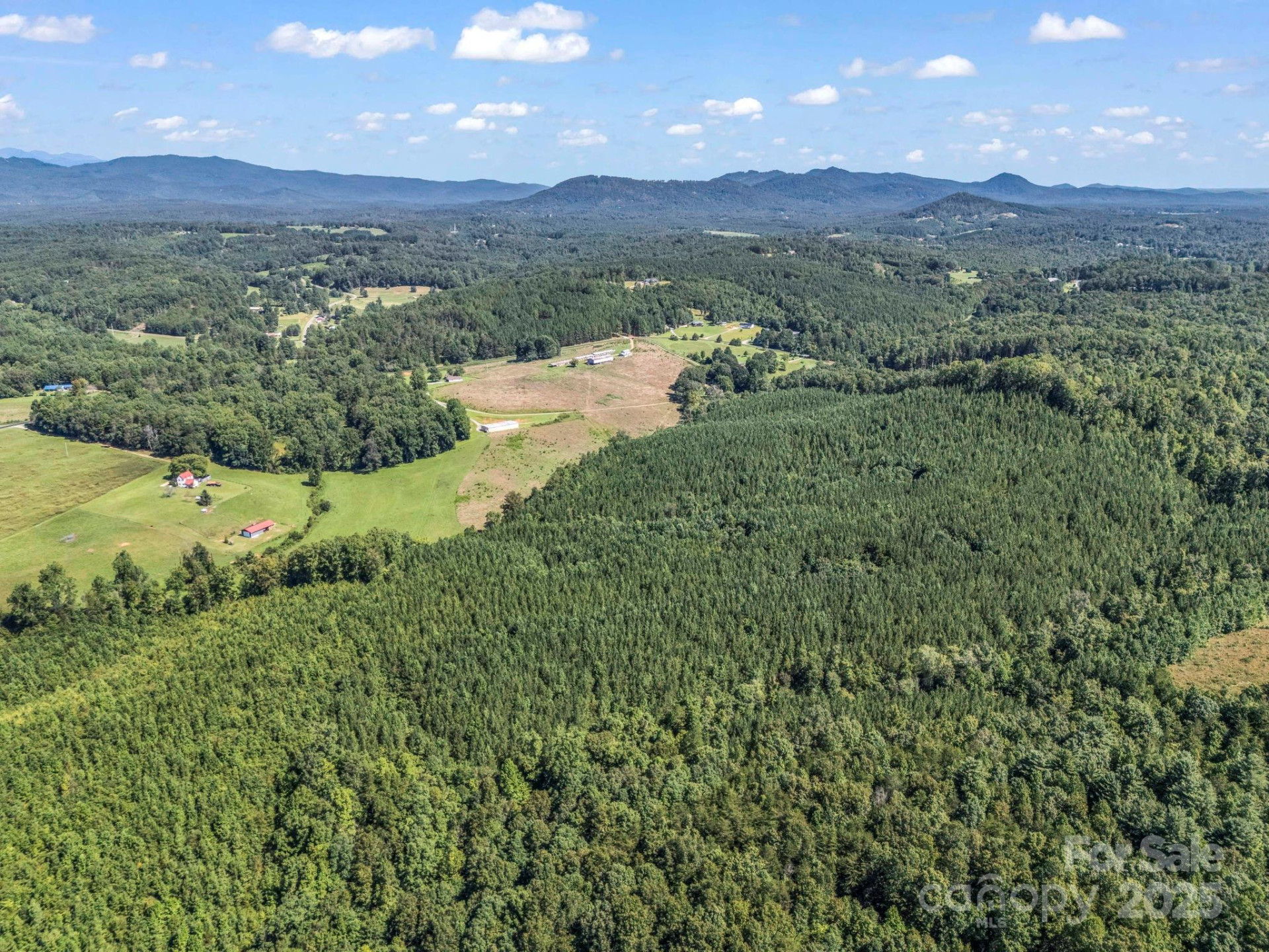 83.67 Acres Pleasant Grove Road - Photo 38